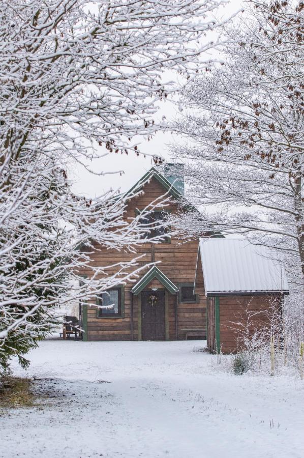 Domek W Biebrzanskim Eldorado Villa Stare Dolistowo Exterior foto